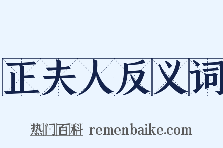 正夫人反义词是什么意思的图片